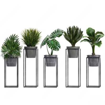 现代盆栽3D模型下载